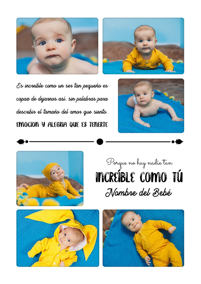 Diseño 16