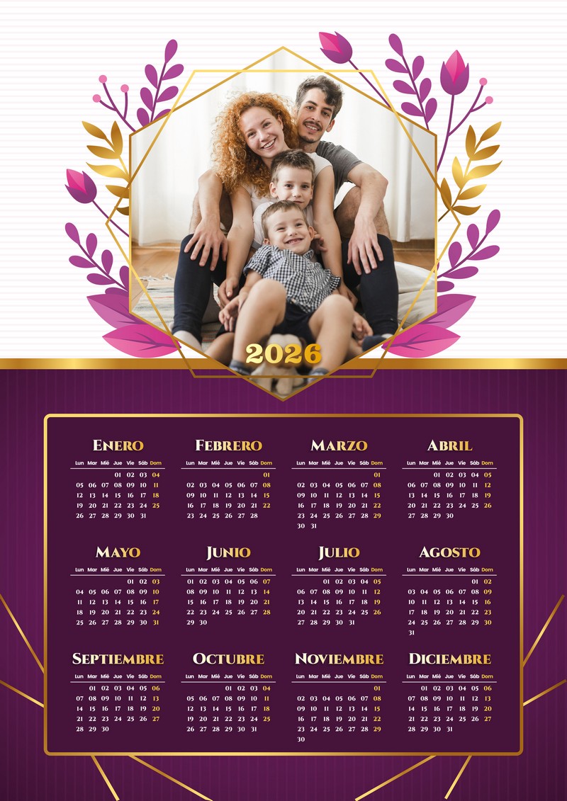 Diseño 14